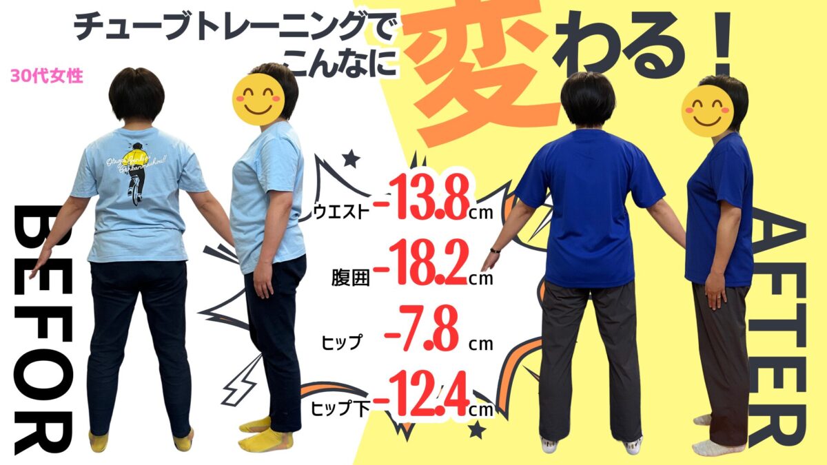 体の比較画像