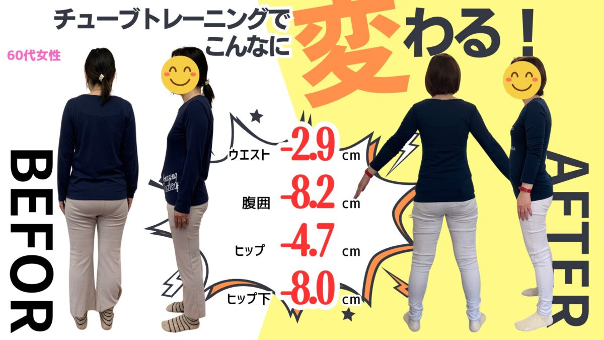 体の比較画像