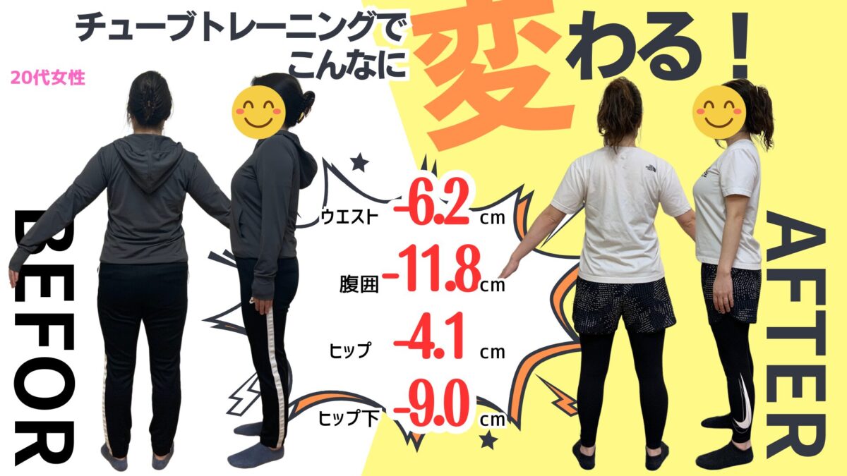 体の比較画像
