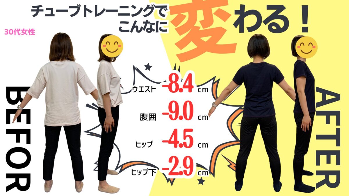 体の比較画像